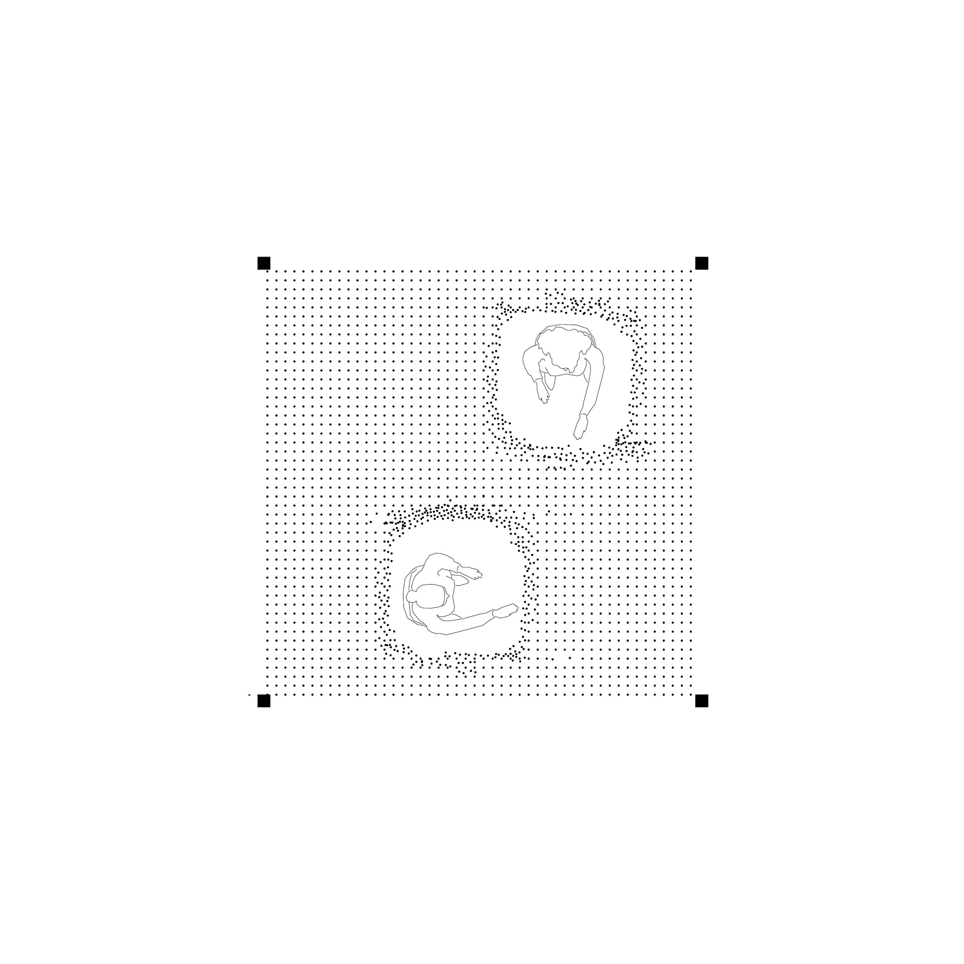 Layout1